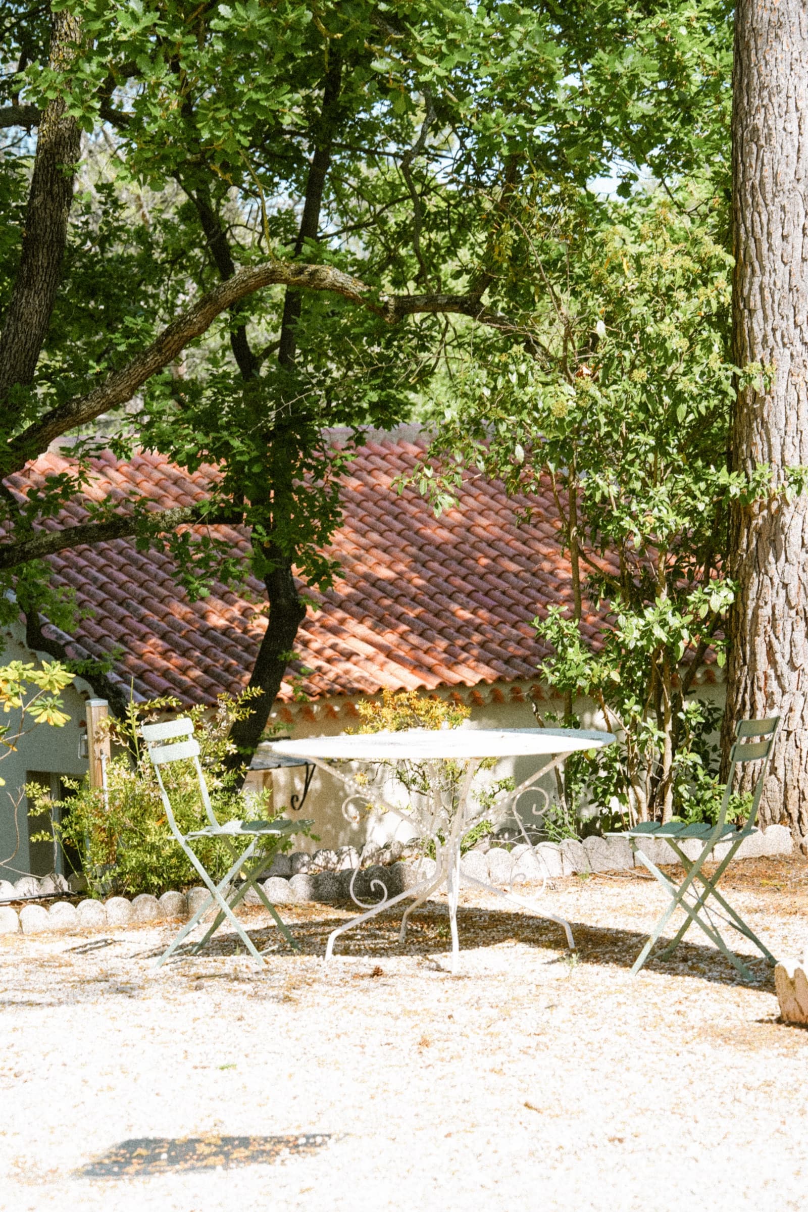 Table bistrot dressée entre deux pins parasol