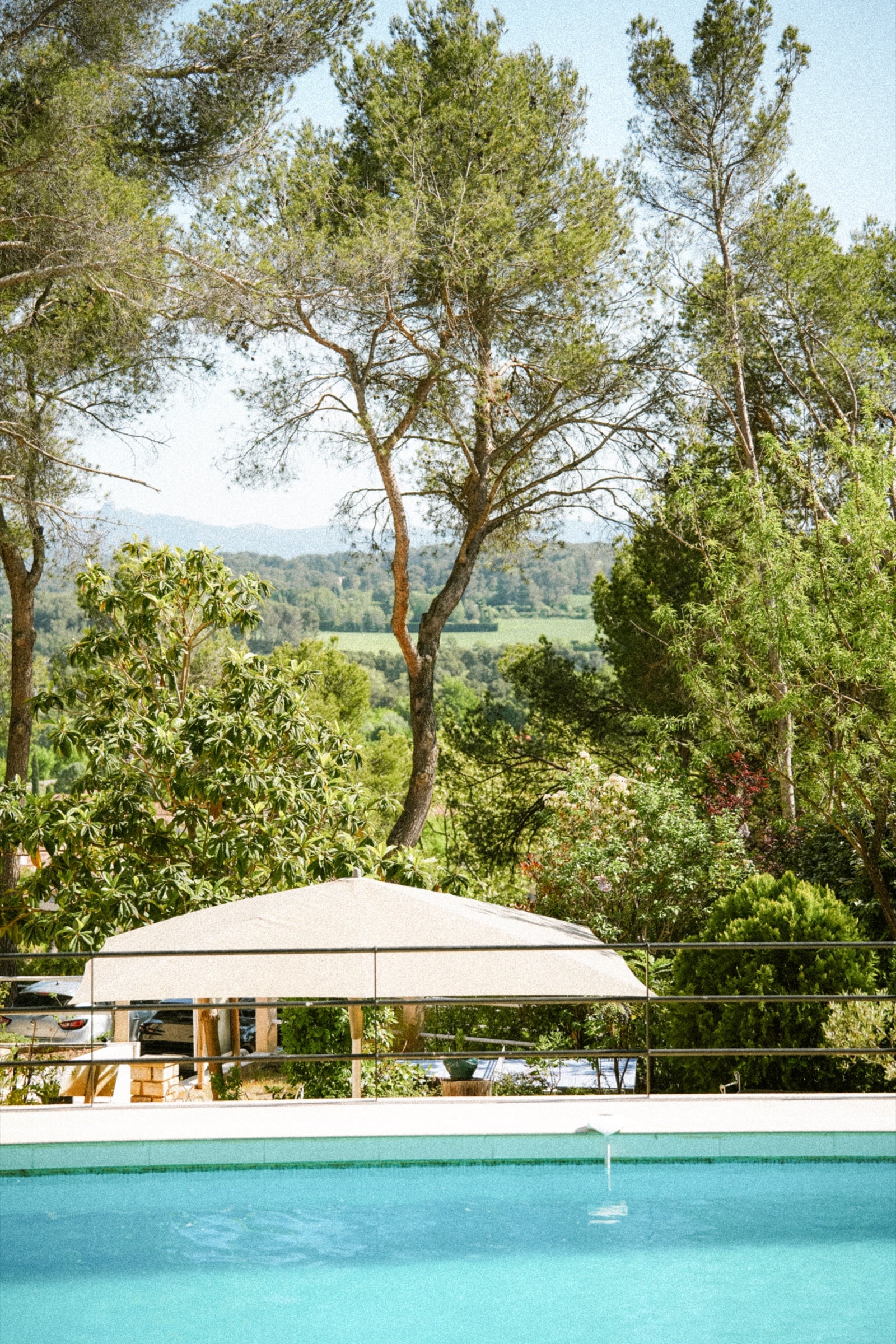 Panorama piscine et pinède